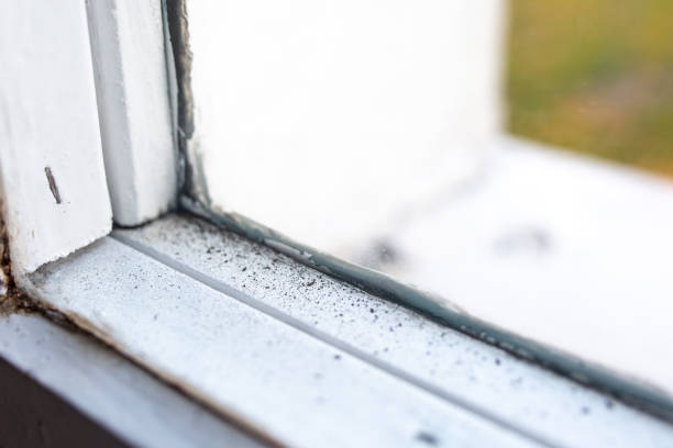 Forensic Mold Investigation in Hollis, OK